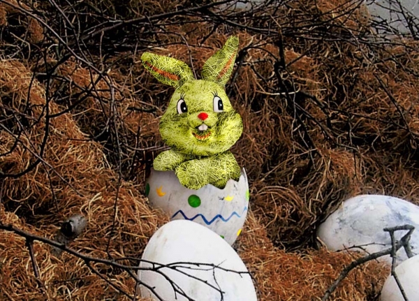 Creation of it's a BUNNY!: Step 5